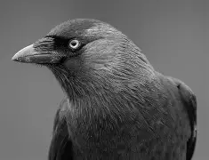 ??忞L带3Eb?E?J?諾%熦pO析K?3蠠蹨高勄坔e~嚠	]駺剢?!B肽??坸=