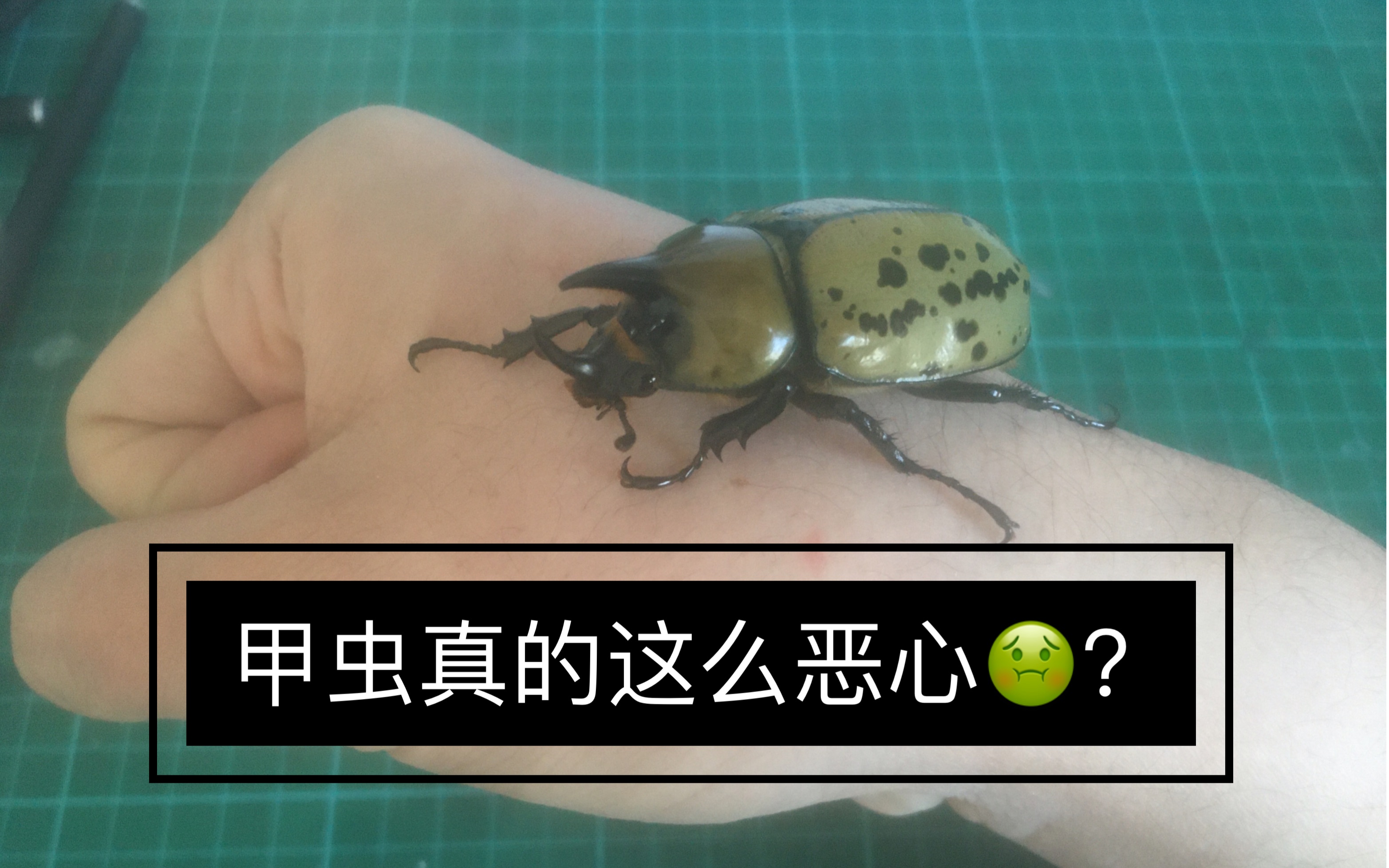 kaiyun-包含@蝨.栞%錌€?F擣>p瀏癯鉡崁???硫I憪╁?xR??噑?€qt7?_W宄N磱劐5躌9茟J?,!潰$蟆u魱q塭5?!經?&amp;郵Z彗%鞺l鼀A?	溙y荶a輏L賁bk??\?帙萤+?d僙A?S?mk/瑸i@~c拶姬q縐C>"Vシb孎?媊20??qL~B橐?蠃裦#孉Hy佽5>wp?嫩蹯